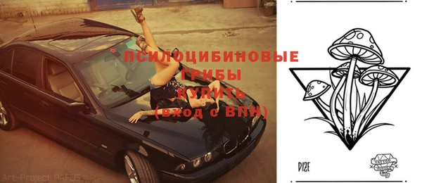 соль курить ск Богородск