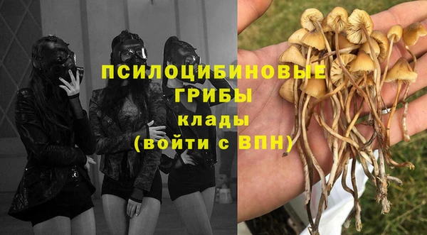 бутират Богданович