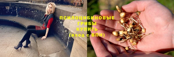 бутират Богданович